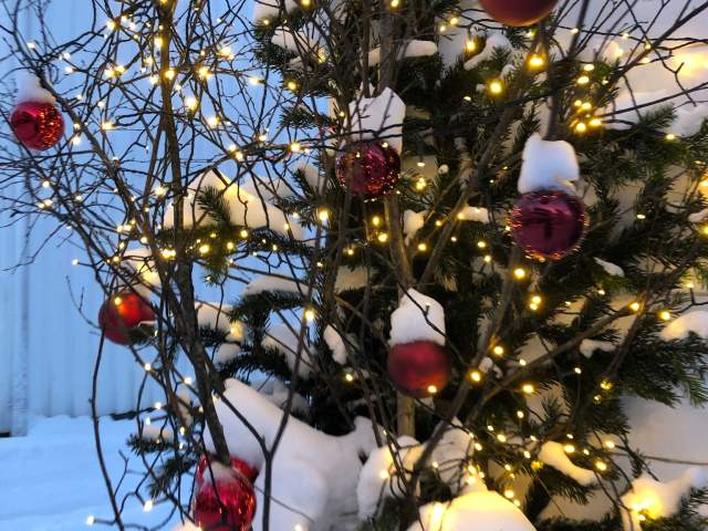 Jule kule i Tvedestrand