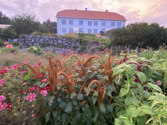 Stort, hvitt gårdshus med blomster foran