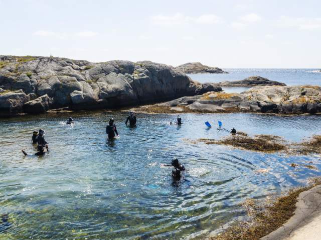Snorkletur med Kote Null. Flatskjæra utenfor Gjeving