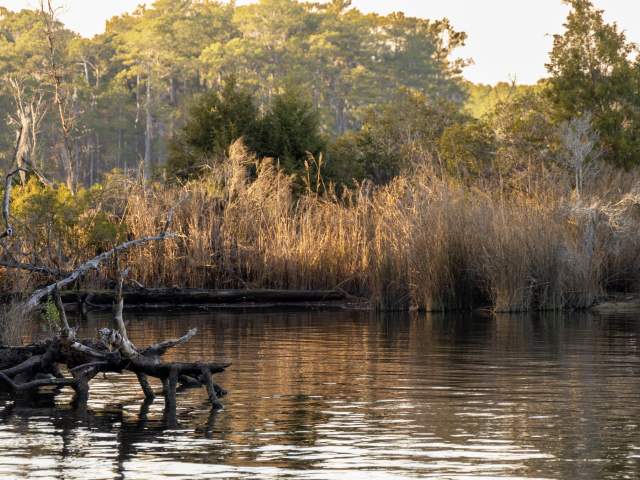 Goose Creek State Park