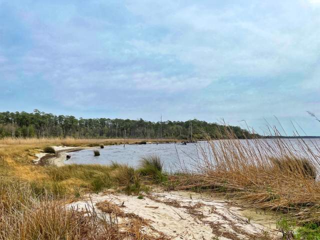 Make it a Weekend at Goose Creek State Park