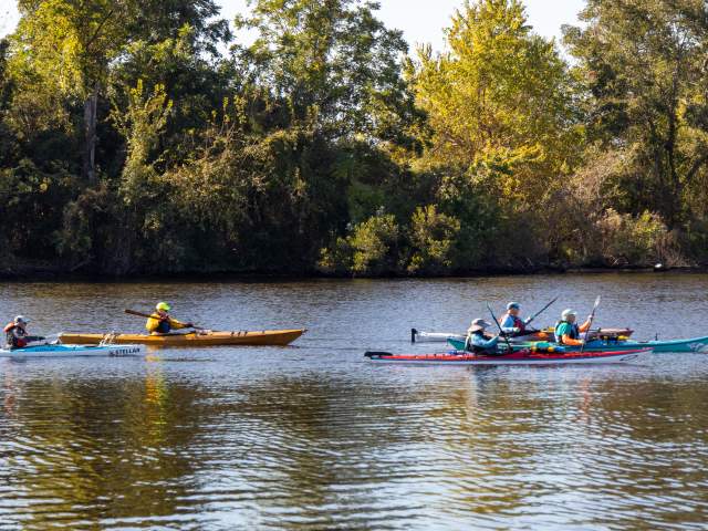 Top 5 for Spring in Washington, NC