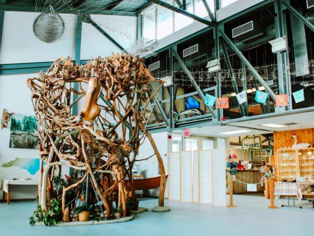 Take a Virtual Tour of the Estuarium!