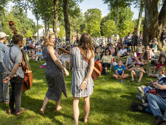 Crowd of people at the American Roots Music Festival.
