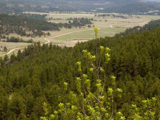 Black Hills Scenic Byway