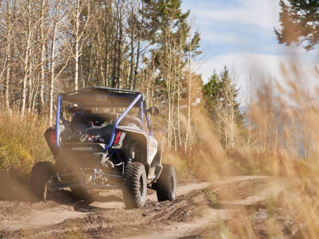 ATVing through the woods