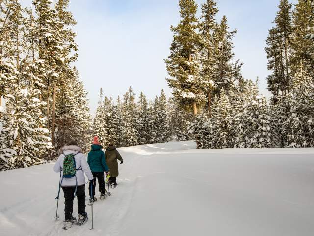 Snowshoeing in Yellowstone