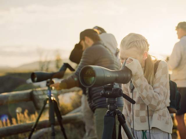 Grand Teton National Park, Jackson Hole, Family Wildlife Viewing