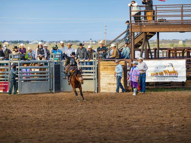 Bronc Rider during Hell on Wheels Rodeo in Cheyenne, Wyoming.