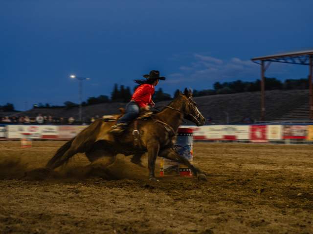 Rider in the barrel races at the rodeo