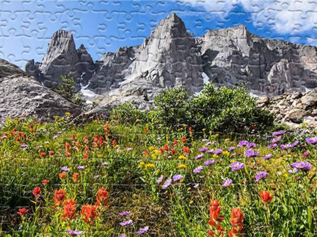 Wyoming Wild Flowers puzzle
