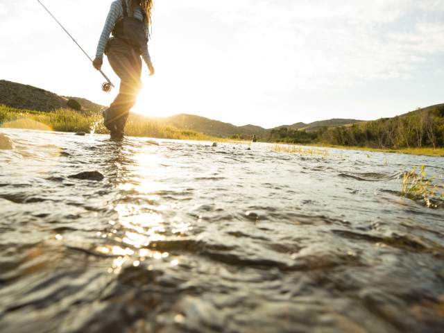 Woman fly fishing in a river.