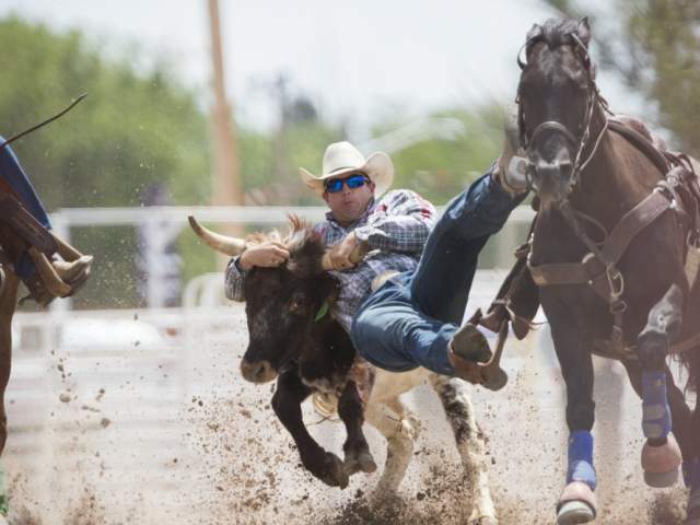 Steer Wrestling at a family rodeo.