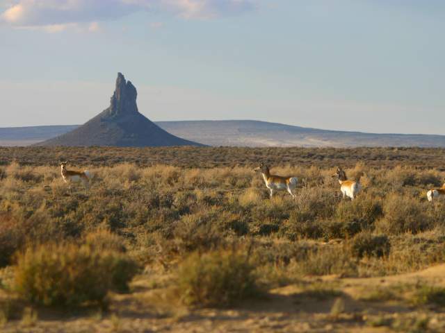 Sweetwater County Leads Advertisement