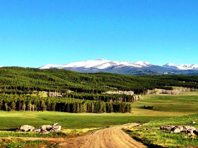 Bighorn National Forest