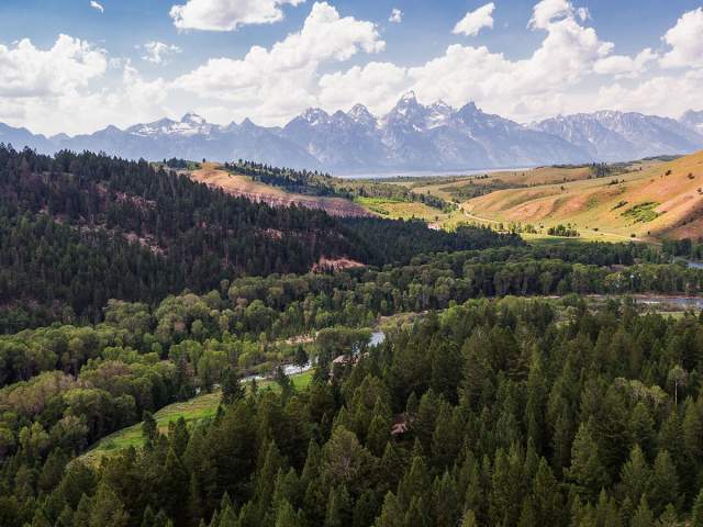 Bridger-Teton National Forest