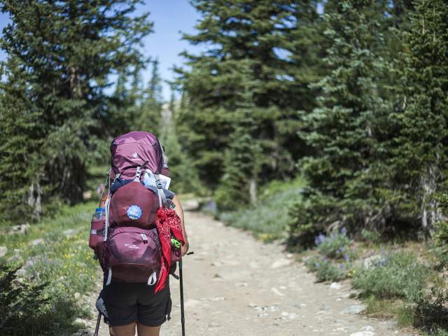 Backpacker with a pack on a trail in the woods.