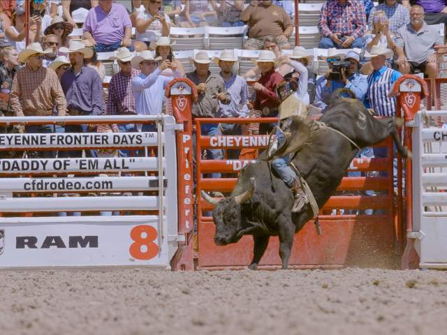 Bull riding Cheyenne Frontier Days