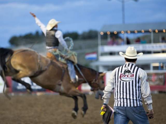 A man stands in front of a bucking bronco, a crowd favorite at Cody Nite Rodeo and one of the top things to do in Cody.