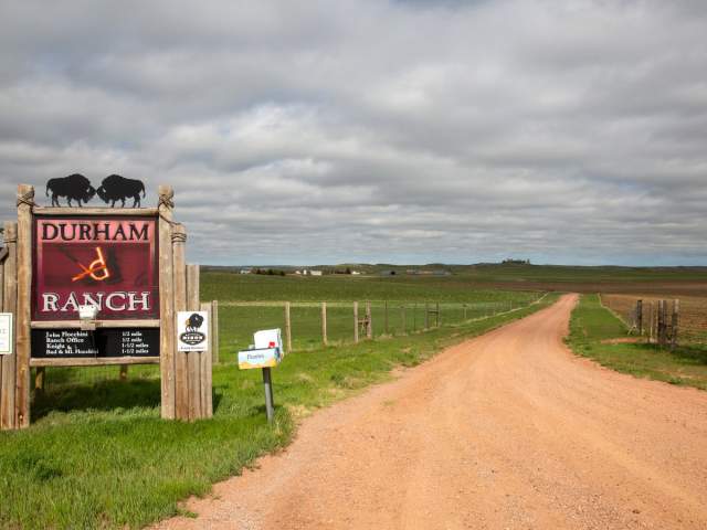 Family-Friendly Road Trip Ideas in the Black to Yellow Region