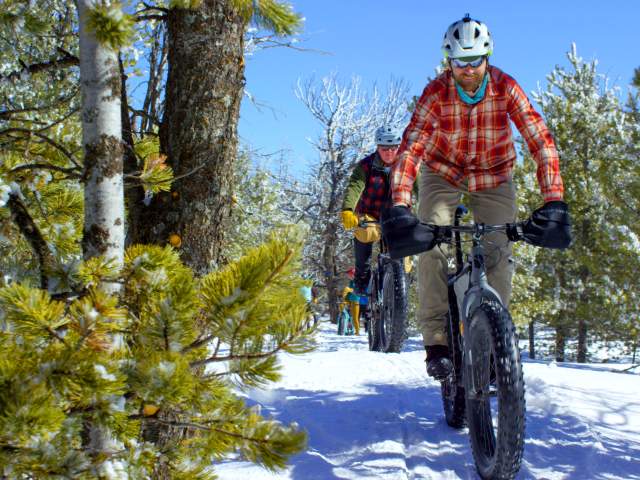 Fat Tire Biking