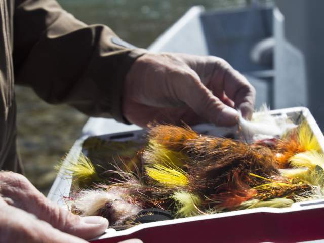 Fly assortment for fishing