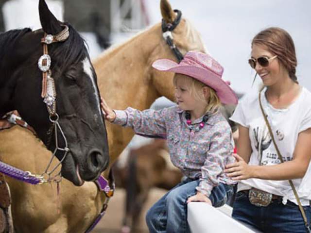 Girl & Horse spot the difference after