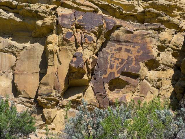 Prehistoric etchings stretch across cliffside panels at Legend Rock Petroglyph Site, above low bushes.