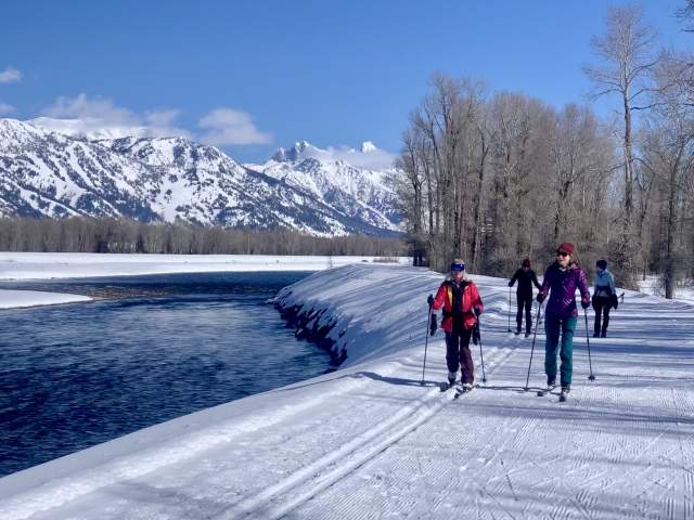 Cross-country skiers near a river.