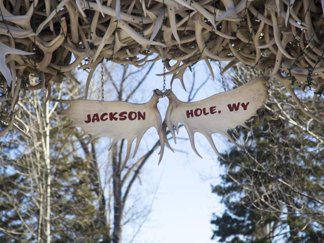 Jackson Hole Arch