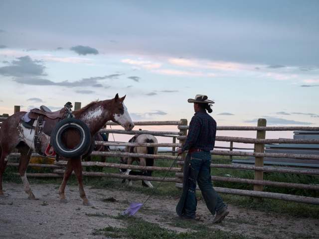 Wild Horse Sanctuary