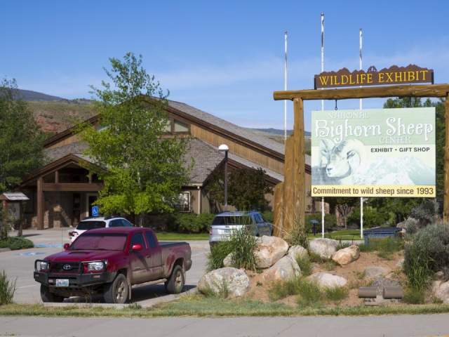 National Bighorn Sheep Center