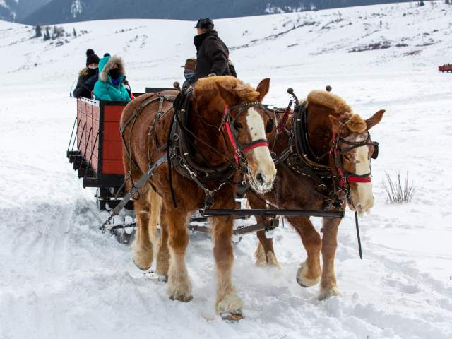 Sleigh Rides Jackson