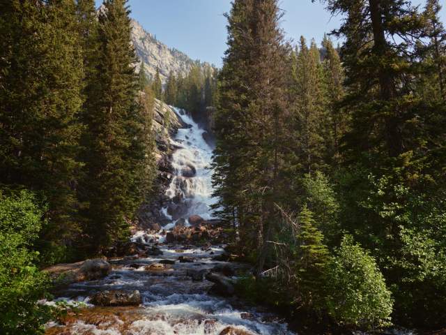 Waterfall through the forest.
