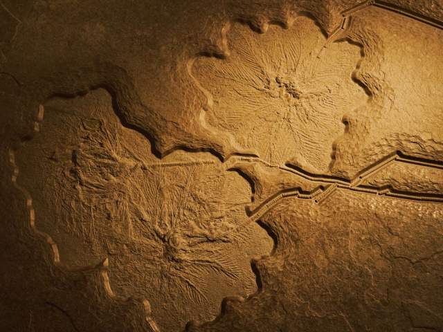 Close-up of ancient petroglyph markings etched across a prehistoric rock wall.