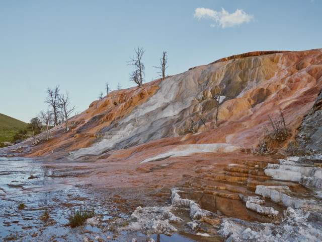 Mammoth Hot Springs