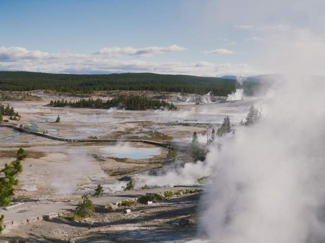 Norris Geyser Basin Scenic View