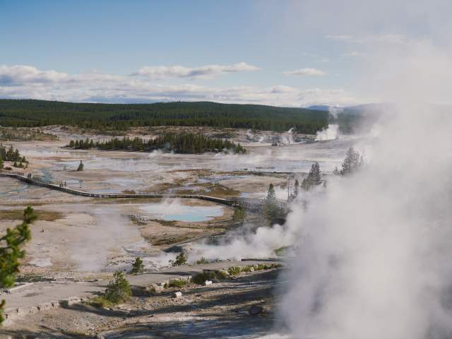 Morning steam rising from Norris Geyser Basin, viewed from overlook.