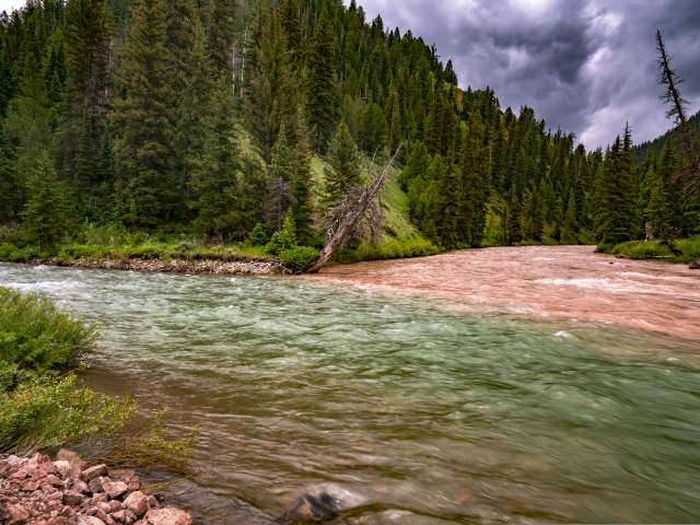 The Atlantic and Pacific creeks running through the greenery of the Bridger-Teton National Forest. I…