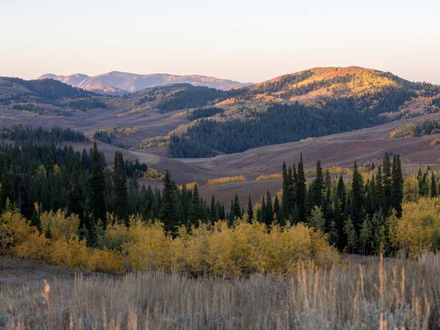 Salt River Pass along the Star Valley Scenic Byway