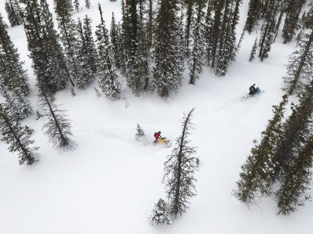 Overhead view of snowmobiling in forest