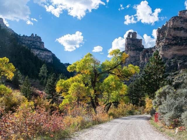 Sheridan, WY Fall Foliage along Scenic Byway