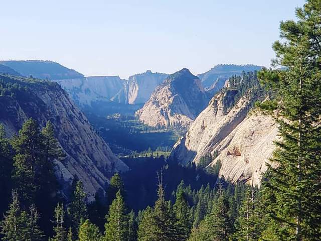 Uinta-Wasatch-Cache National Forest