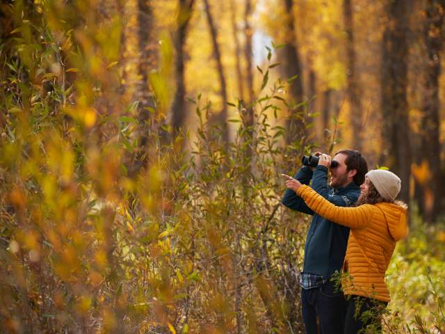 A couple hiking with beautiful fall colors in the backdrop near Jackson, Wyoming.