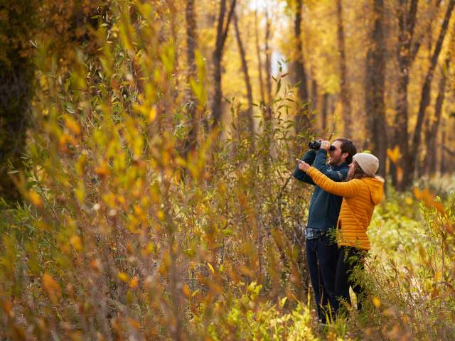 Things to do Seasonal Activities