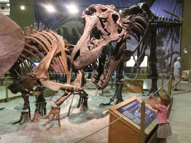 Wyoming Dinosaur Center - Thermopolis