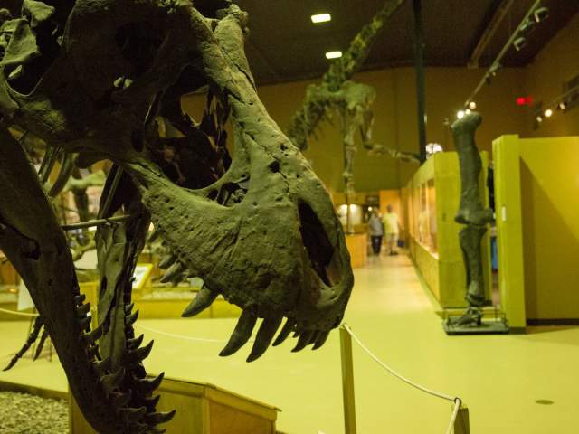 How to Make your Park to Park Road Trip Family Friendly