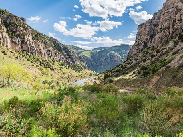 Summer in on the Wind River Scenic Byway in the Wind River Canyon.