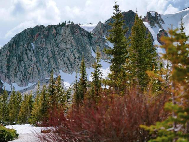 Albany County Fall/Winter