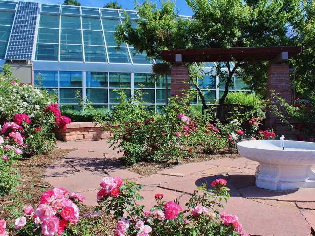 Relaxing in the Rose Garden of the Cheyenne Botanical Gardens